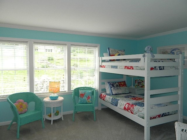 1407 Prater Ln, Marion, VA 24354 - photo 51