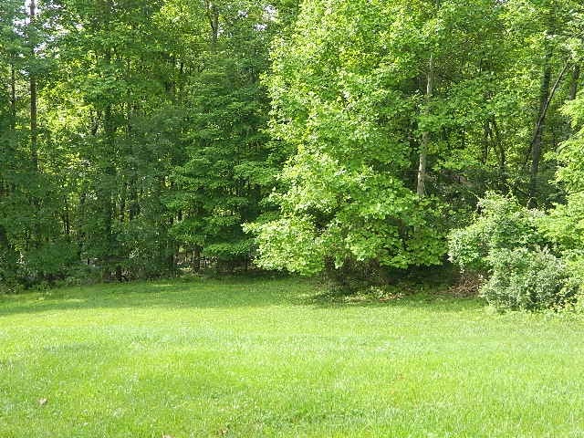 1407 Prater Ln, Marion, VA 24354 - photo 81