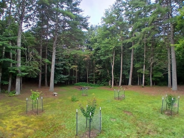 3427 Hebron Rd, Galax, VA 24333 - photo 35