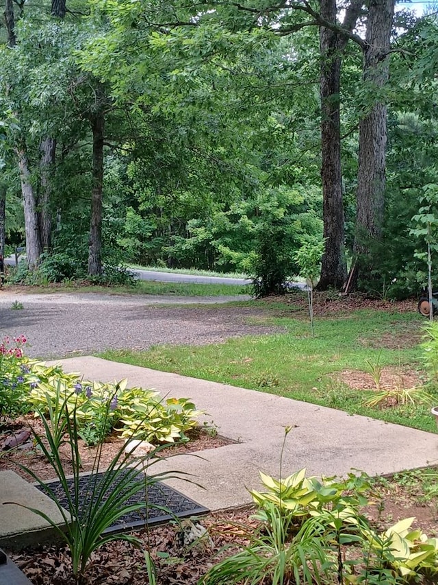 3427 Hebron Rd, Galax, VA 24333 - photo 28