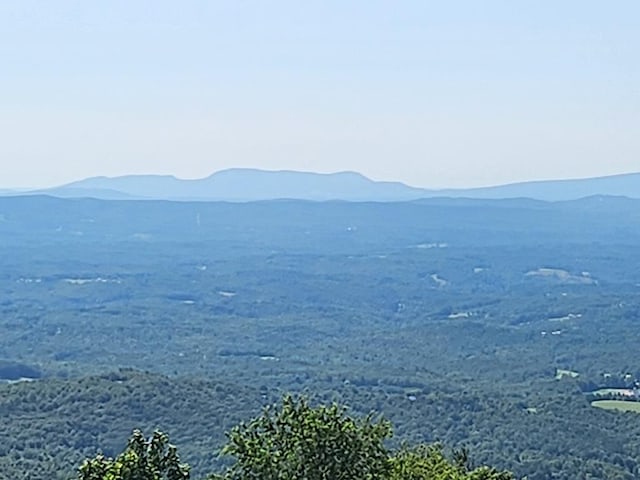 82 Alpine Way, Fancy Gap, VA 24328 - photo 4