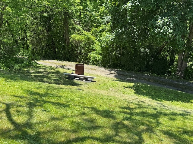 318 Limestone Rd, Pounding Mill, VA 24637 - view of home's community with a yard and a forest view