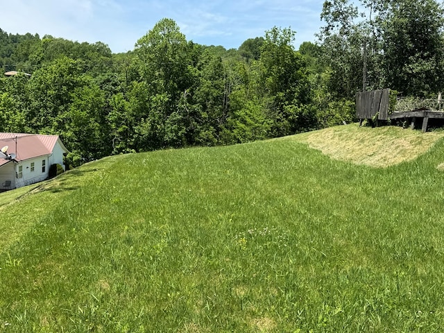 318 Limestone Rd, Pounding Mill, VA 24637 - view of green lawn featuring a view of trees