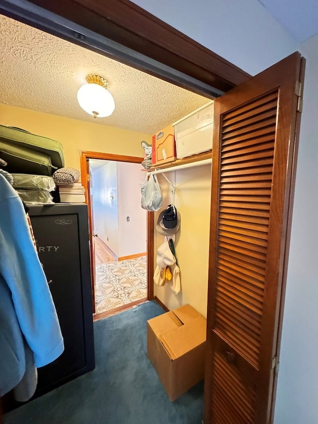 1595 Edgewater Dr, Grundy, VA 24614 - mudroom with carpet and a textured ceiling
