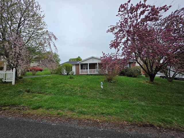 20286 Shadowood Cir, Meadowview, VA 24361 - view of side of property featuring a yard, fence, and covered porch