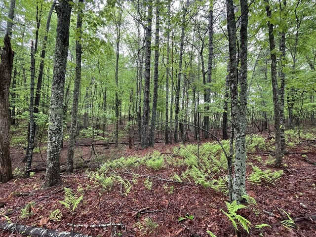 TBD Wood Ln Unit 16, Hillsville, VA 24343