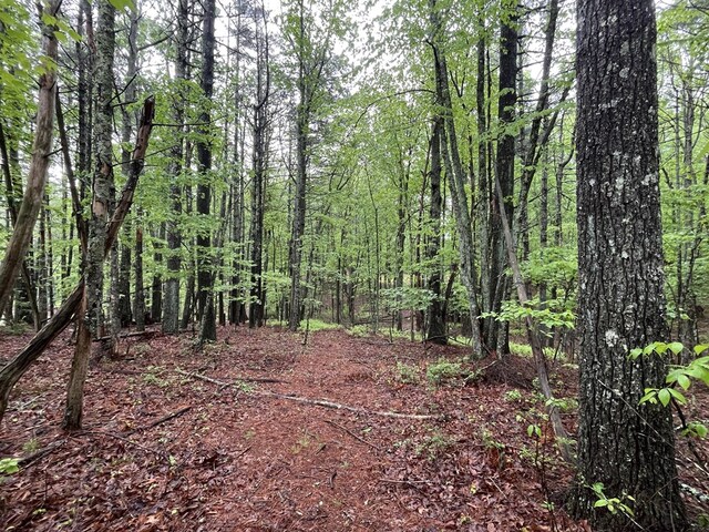 TBD Wood Ln Unit 16, Hillsville, VA 24343