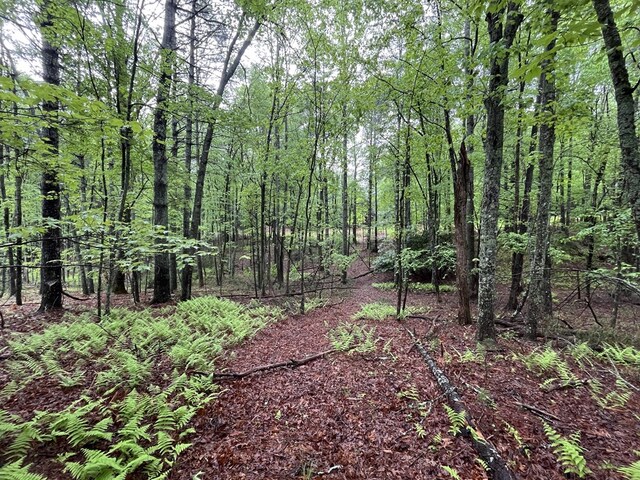 TBD Wood Ln Unit 16, Hillsville, VA 24343
