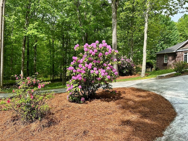 23677 Archery Range Rd, Bristol, VA 24202 - view of yard