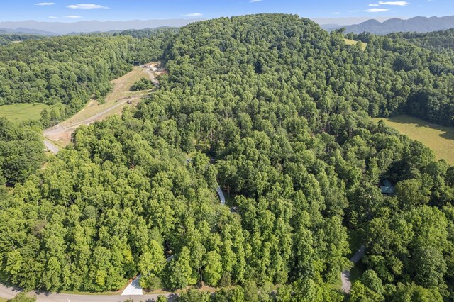 23677 Archery Range Rd, Bristol, VA 24202 - view of property location with a heavily wooded area and a mountainous background