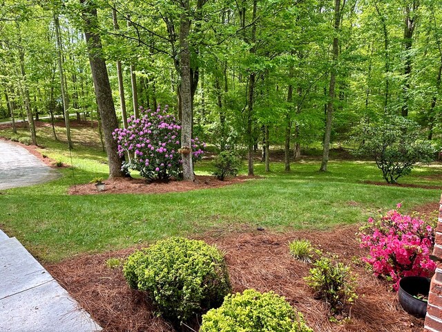 23677 Archery Range Rd, Bristol, VA 24202 - view of green lawn