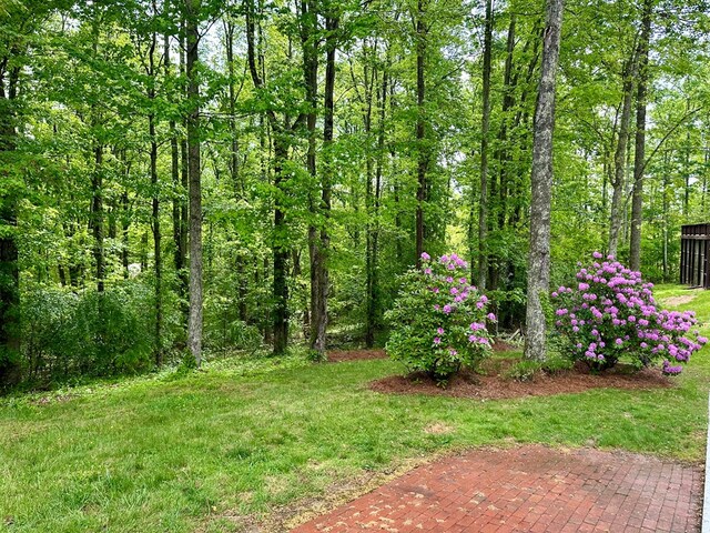 23677 Archery Range Rd, Bristol, VA 24202 - view of grassy yard