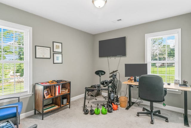 carpeted office space featuring a wealth of natural light