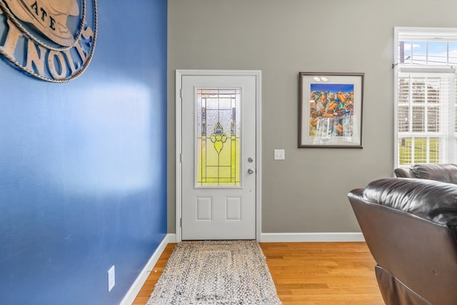 foyer entrance featuring a healthy amount of sunlight and wood-type flooring