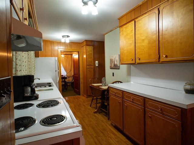 3878 Blue Grass Trl, Saltville, VA 24370 - kitchen with wood finished floors, exhaust hood, freestanding refrigerator, light countertops, and electric stove