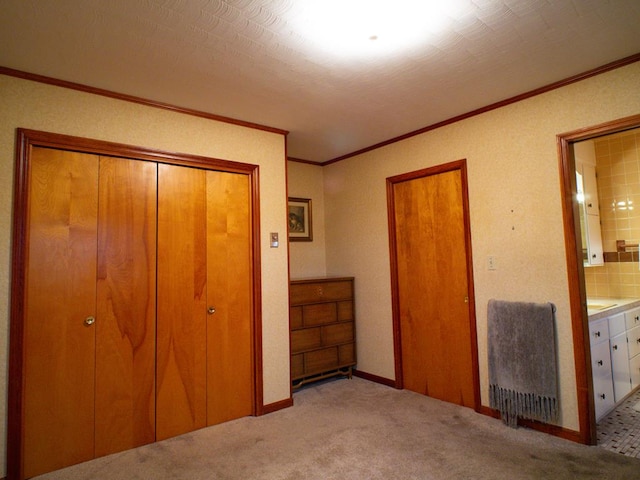 3878 Blue Grass Trl, Saltville, VA 24370 - unfurnished bedroom featuring light colored carpet, ornamental molding, a closet, and ensuite bath