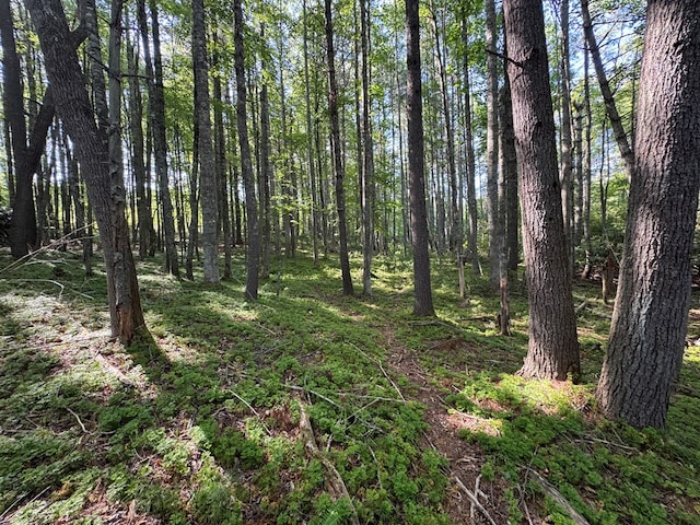 TBD Petra Dr Unit 7, Hillsville, VA 24343