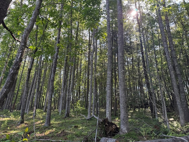 TBD Petra Dr Unit 7, Hillsville, VA 24343