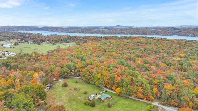 4616 Rakes Dr, Dublin, VA 24084 - photo 9