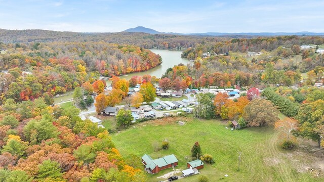 4616 Rakes Dr, Dublin, VA 24084 - photo 8