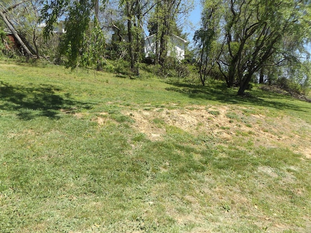 304 Edgewood Dr, Galax, VA 24333 - view of yard