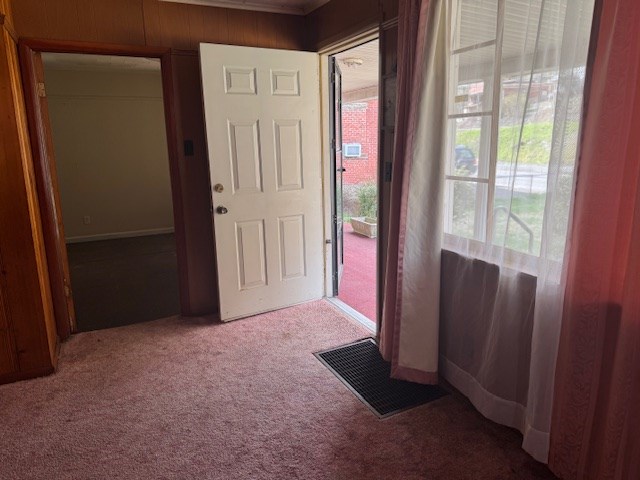 14091 Rocket Boys Dr, War, WV 24892 - entrance foyer featuring carpet