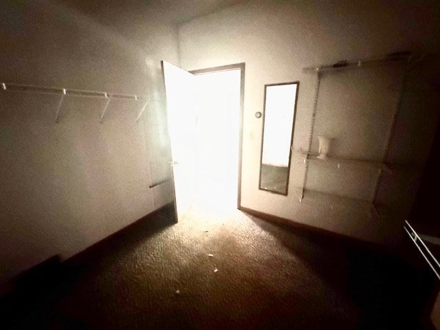 14091 Rocket Boys Dr, War, WV 24892 - spacious closet featuring carpet flooring