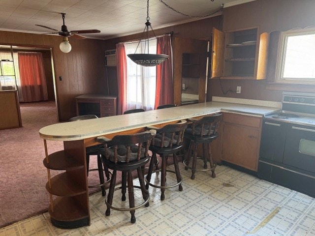 14091 Rocket Boys Dr, War, WV 24892 - kitchen with electric range, open shelves, ornamental molding, healthy amount of natural light, and wooden walls