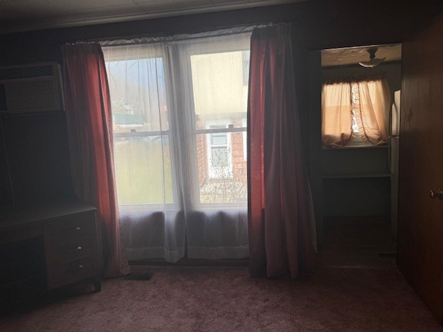 14091 Rocket Boys Dr, War, WV 24892 - carpeted bedroom with multiple windows