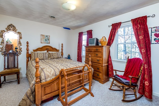 1386 Rocky Hollow Rd, Atkins, VA 24311 - bedroom featuring carpet, multiple windows, and baseboards