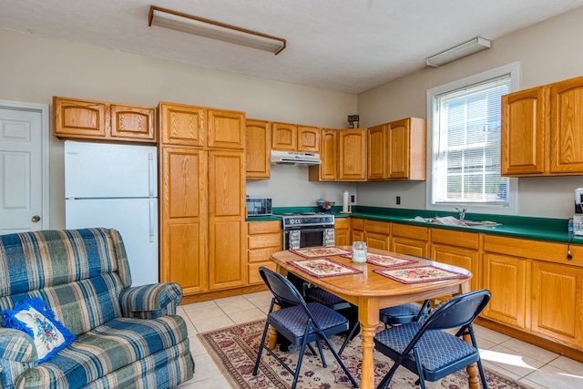 1386 Rocky Hollow Rd, Atkins, VA 24311 - kitchen featuring freestanding refrigerator, under cabinet range hood, stainless steel stove, black microwave, and a sink