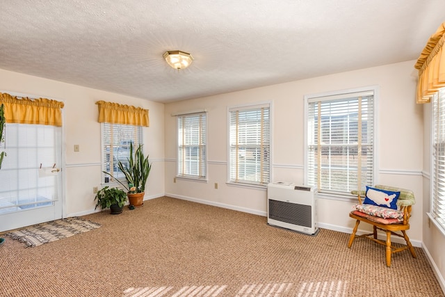 1386 Rocky Hollow Rd, Atkins, VA 24311 - living area with heating unit, light colored carpet, baseboards, and a textured ceiling