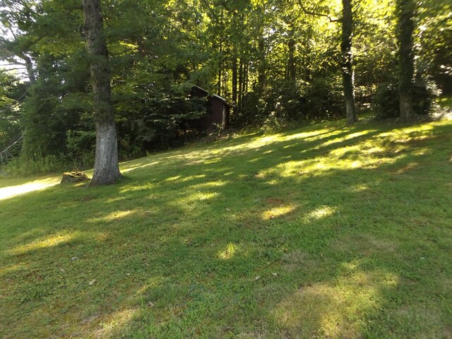 1153 Raindrop Rd, Fancy Gap, VA 24328