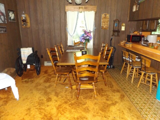 1153 Raindrop Rd, Fancy Gap, VA 24328