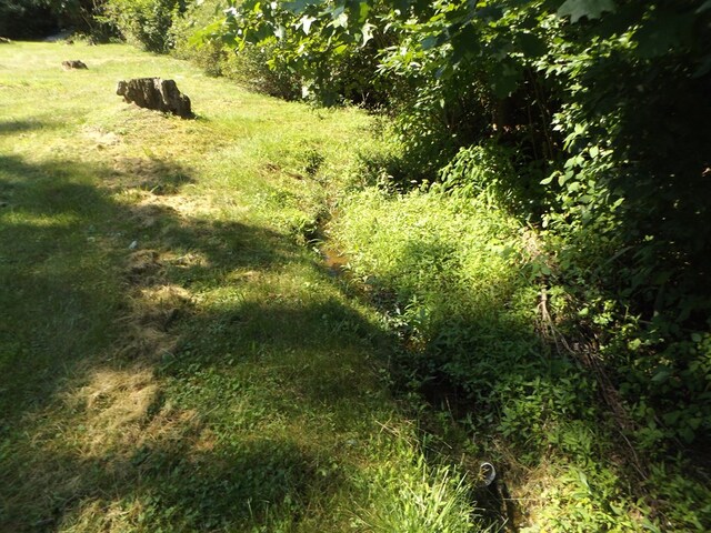 1153 Raindrop Rd, Fancy Gap, VA 24328