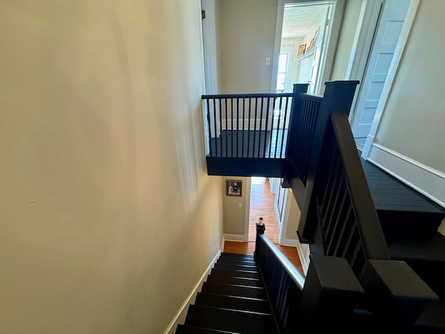 stairs with hardwood / wood-style flooring