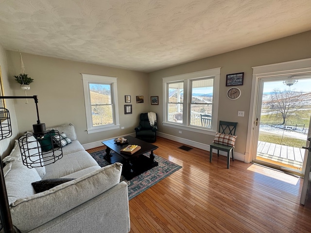 living room featuring a textured ceiling, plenty of natural light, and wood-type flooring