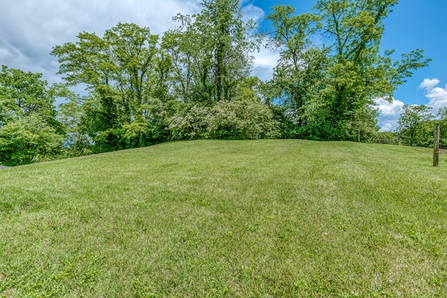 204 Elizabeth St, Bristol, TN 37620 - view of grassy yard