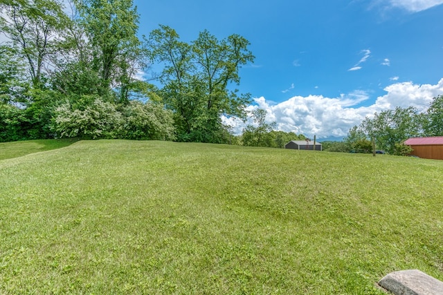 204 Elizabeth St, Bristol, TN 37620 - view of green lawn