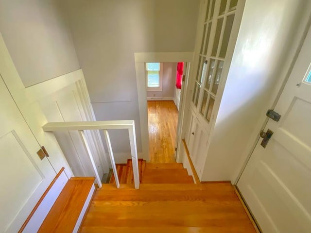 staircase with wood-type flooring