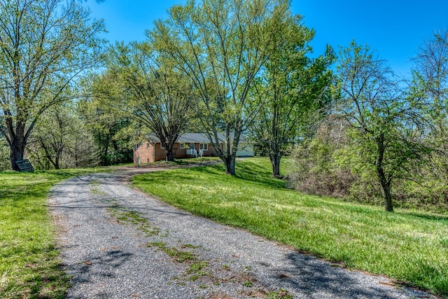 677 Summit Dr, Jonesborough, TN 37659 - view of front of home featuring gravel driveway and a front lawn