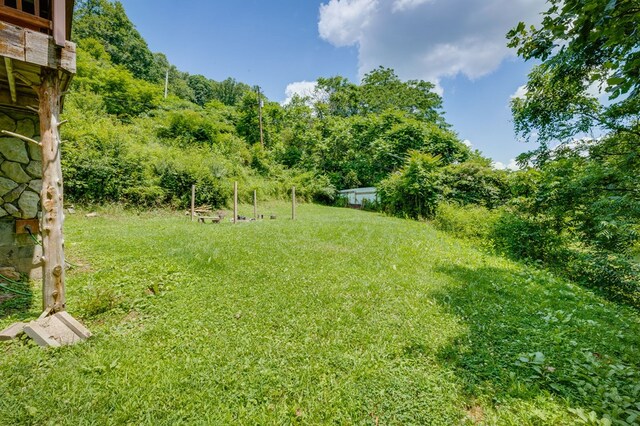 29 Scarberry Holw, Castlewood, VA 24224 - photo 39