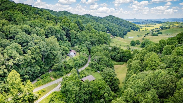 29 Scarberry Holw, Castlewood, VA 24224 - photo 35