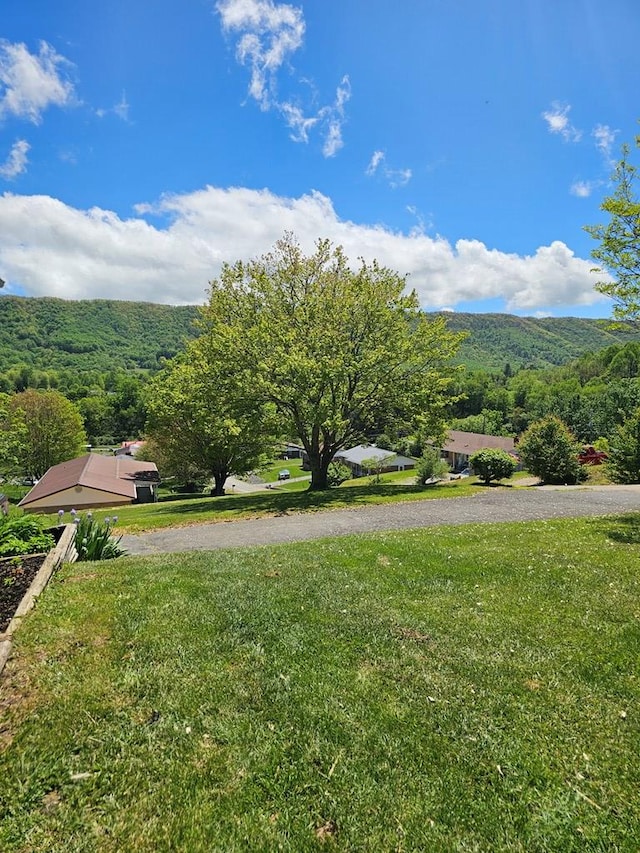 290 Hummingbird Hl, Tazewell, VA 24651 - view of grassy yard with a wooded view
