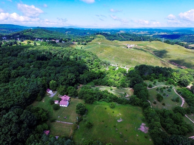 1354 Grayson Tpke, Wytheville, VA 24382 - photo 10
