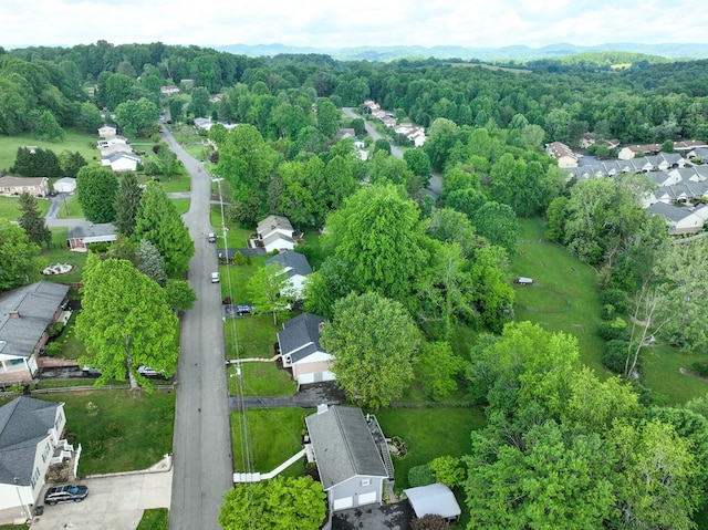 420 Brookwood Dr, Bristol, TN 37620 - aerial view of property's location with nearby suburban area and a forest