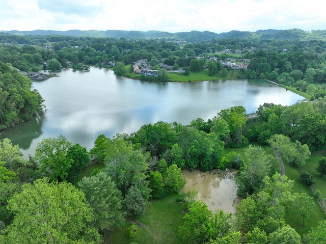 420 Brookwood Dr, Bristol, TN 37620 - bird's eye view of a nearby body of water and a forest