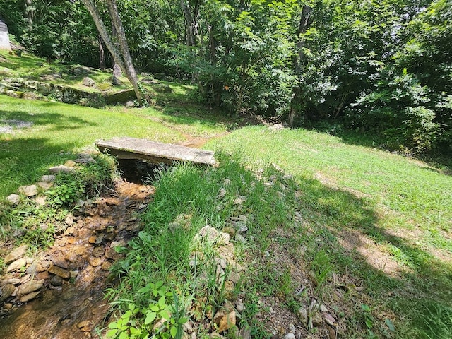 2500 Elk Creek Pkwy, Independence, VA 24348 - photo 31