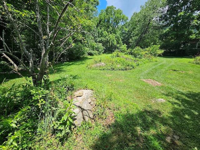 2500 Elk Creek Pkwy, Independence, VA 24348 - photo 34