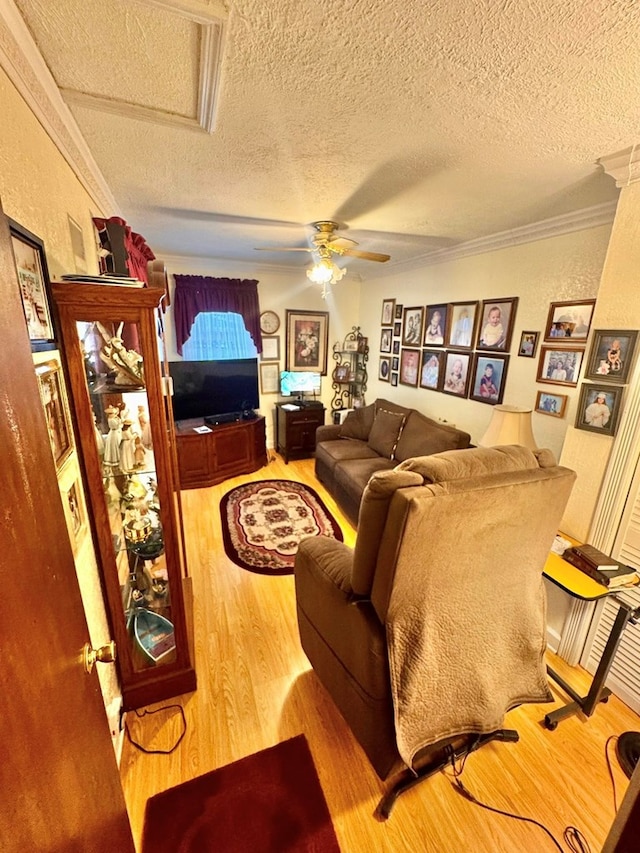 2989 Greenbrier Rd, Haysi, VA 24256 - living room with a textured ceiling, wood finished floors, a ceiling fan, crown molding, and attic access